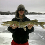 Large Pike Fish in the winter