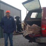 6 Point Trophy Buck Photo